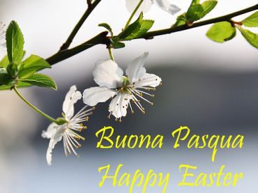 buona-pasqua.jpg